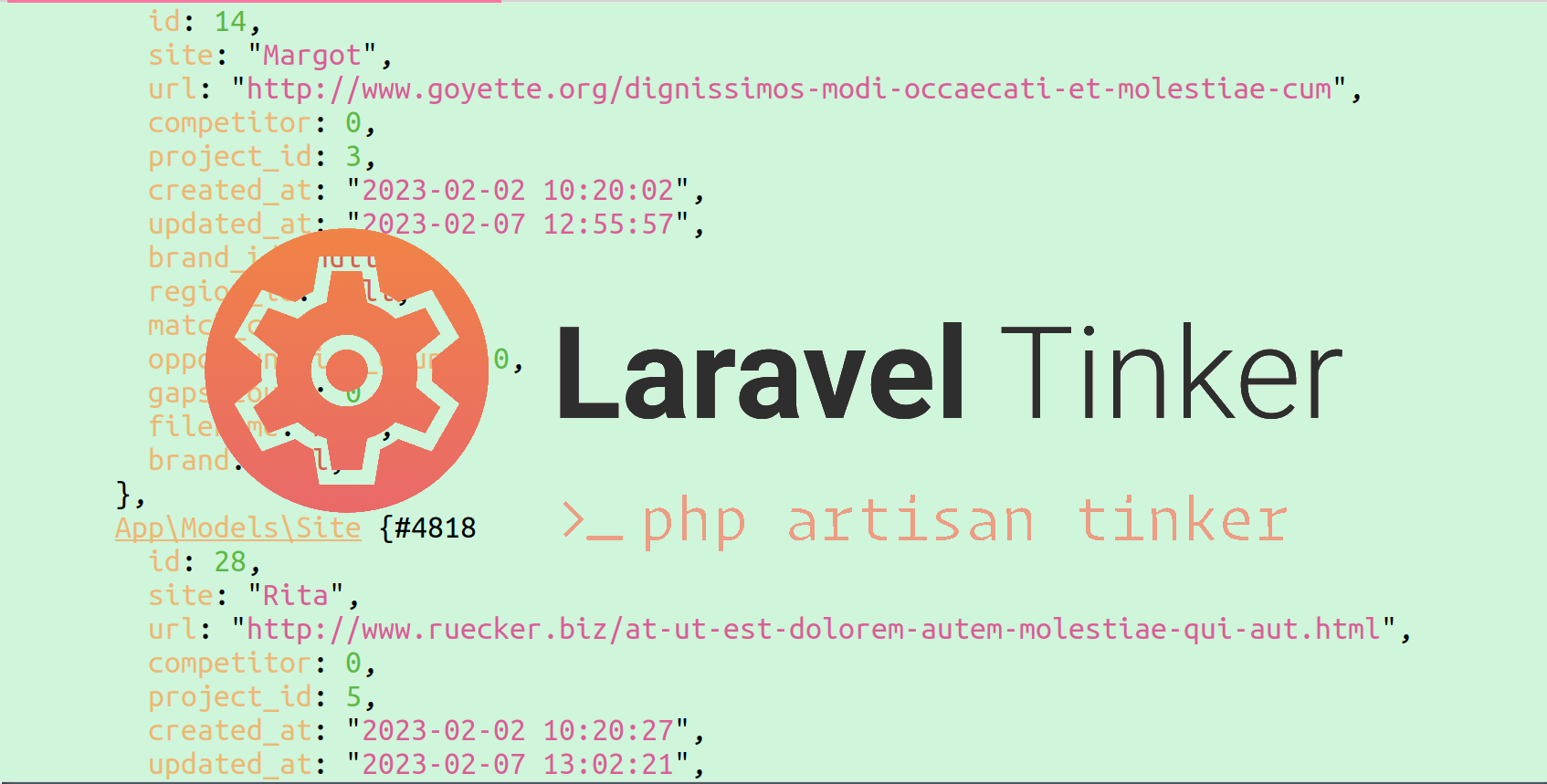 Laravel Artisan Tinker